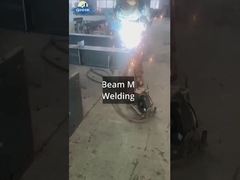 Εργαστήριο χάλυβα της Σρι Λάνκα με σχέδιο γερανού